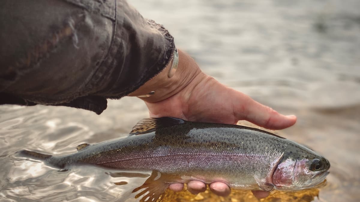Mixed conditions for anglers in October