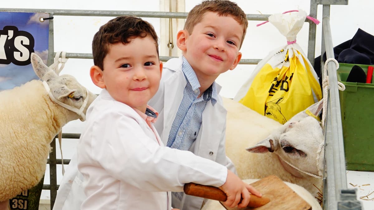 Busy day in the main ring for a rain soaked Primestock Show