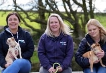 South West Water are helping to support animal charity from Liskeard