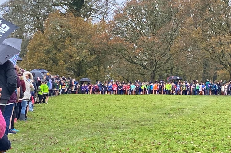 Year 3 and 4 boys race.jpg