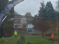 Adorable video shows boy's reaction to Saltash tree installation