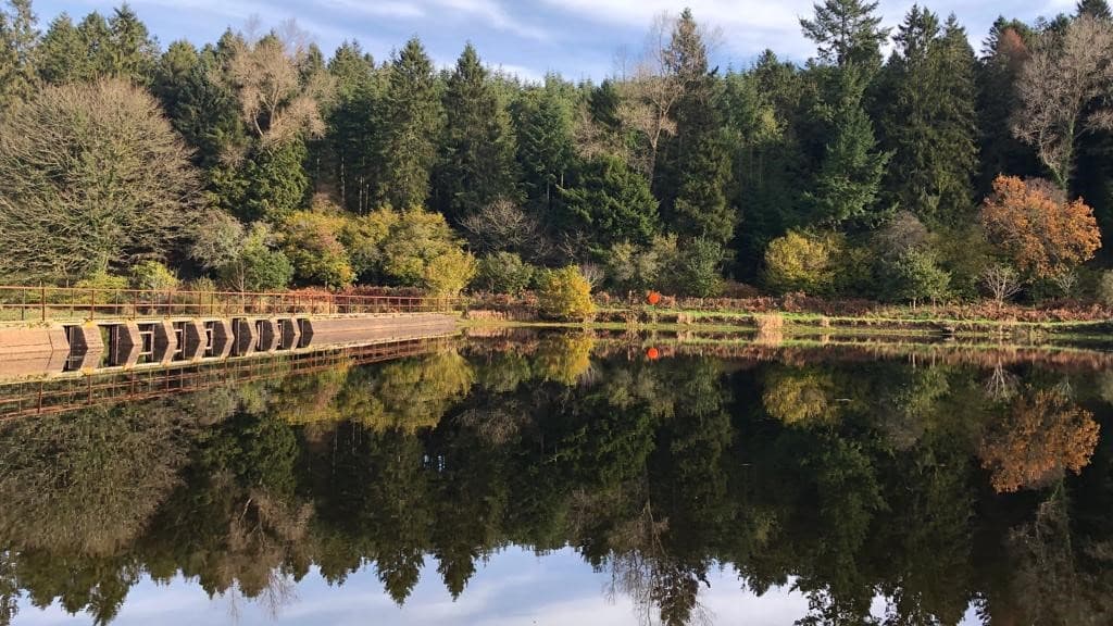 Brown trout fishing closed until March