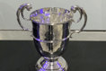 Cup holders Helston reach last eight after victory over Ashes