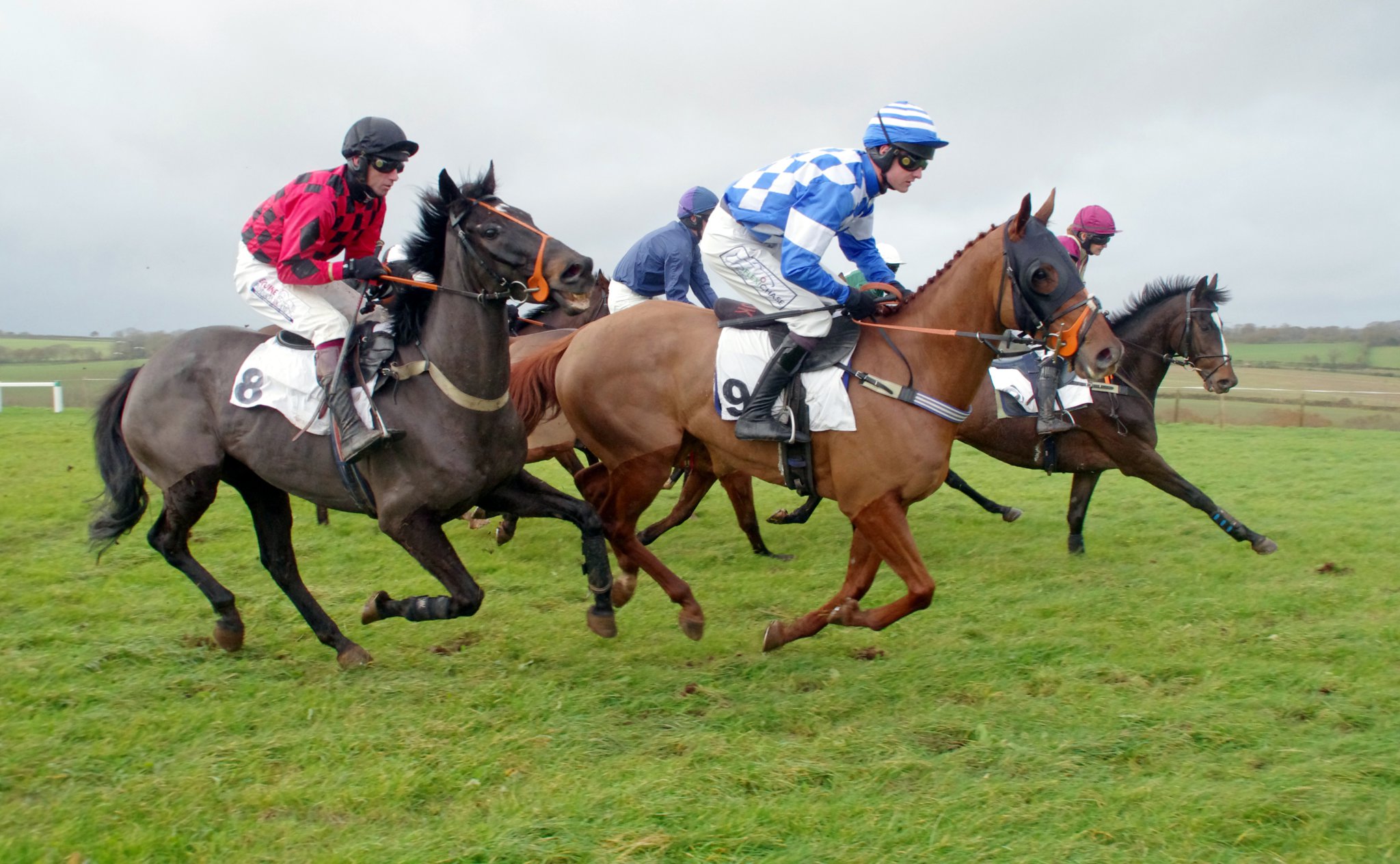Hilly course for Point-to-Point at Great Trethew