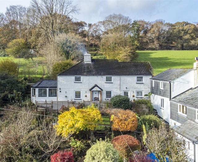 Moorland cottage for sale comes with its own "enchanting" woodlands