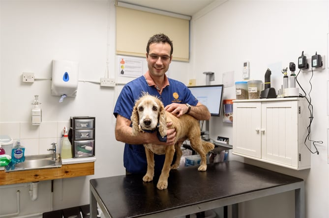 Dexter with vet Tom Beale from Luxstowe Vets.jpg