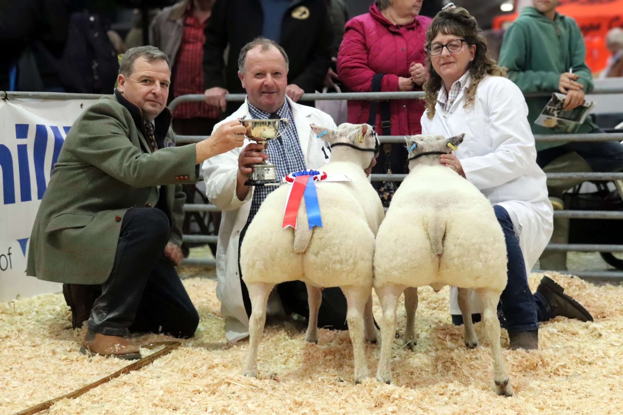 Quality field at the Cornish Winter Fair cornishtimes.co.uk