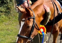 Take a look as a rider from Looe prepares for the London Horse Show