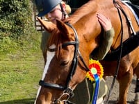 Take a look as a rider from Looe prepares for the London Horse Show