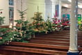 Festival shining light on local groups