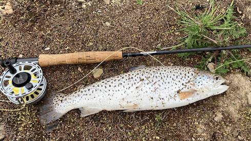 Challenging month for brave anglers