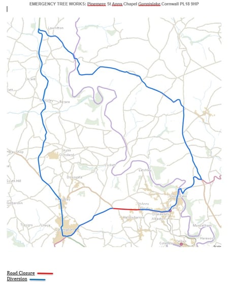 Emergency tree cutting in Callington