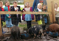 Carbeile Junior School welcomes therapy pigs