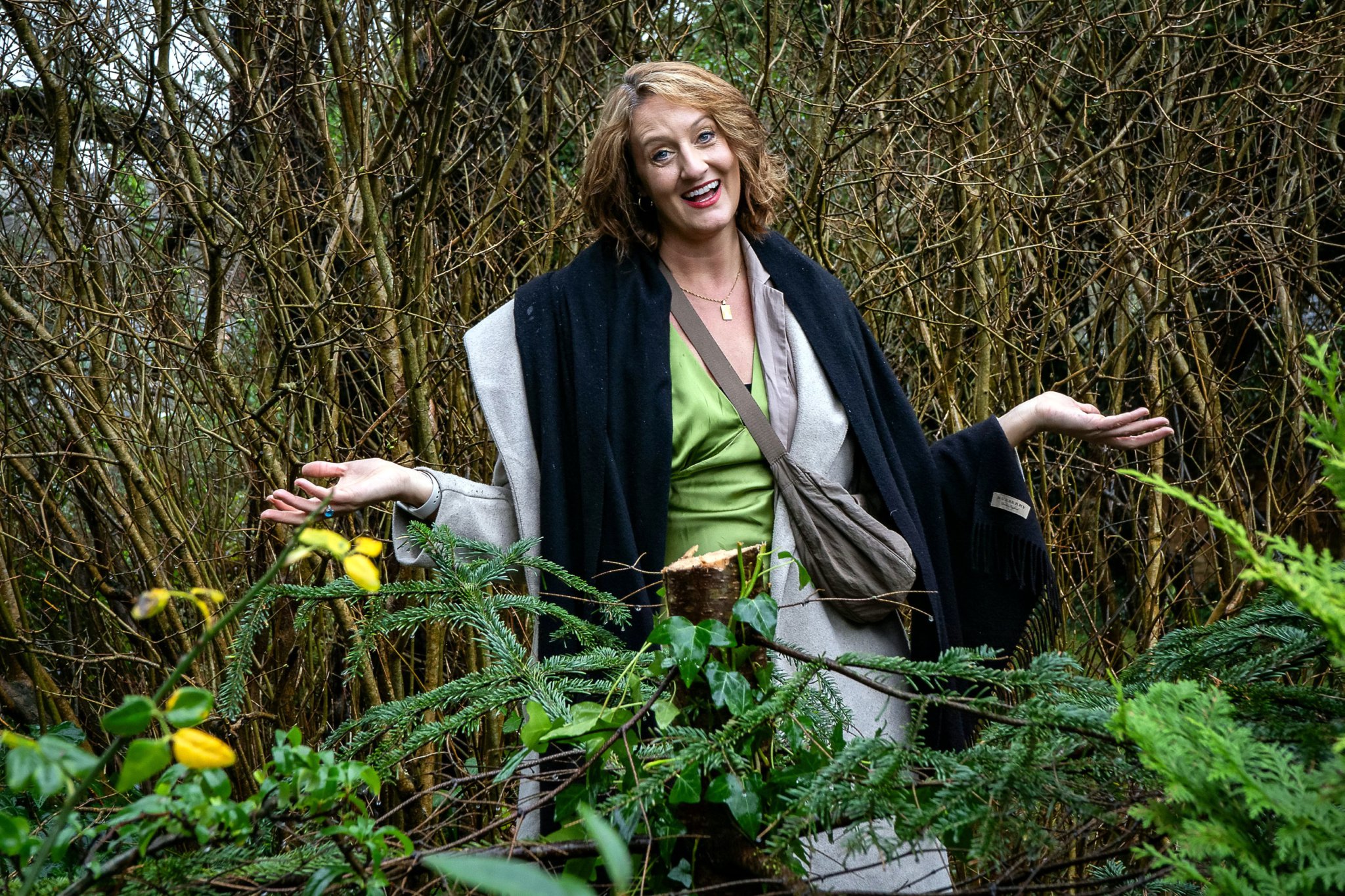 Fir tree taken from garden in Wadebridge