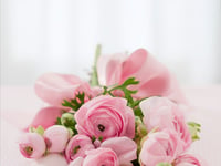 Obituary: Christine Stephens of Callington