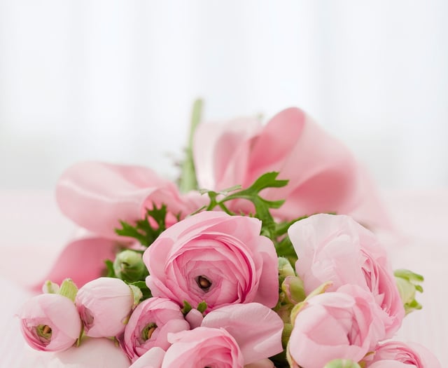 Obituary: Christine Stephens of Callington