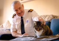 More than 3,000 animals rehomed by the RSPCA in Cornwall 