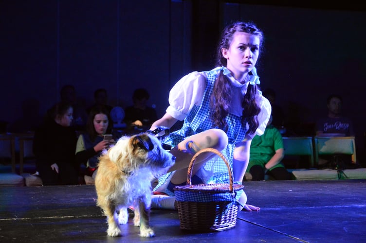 A young actor and her furry side kick playing Dorothy and Toto