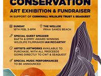 Creative Conservation art exhibition inspired by whales