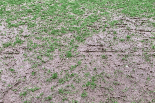 Bad weather claims plenty of matches