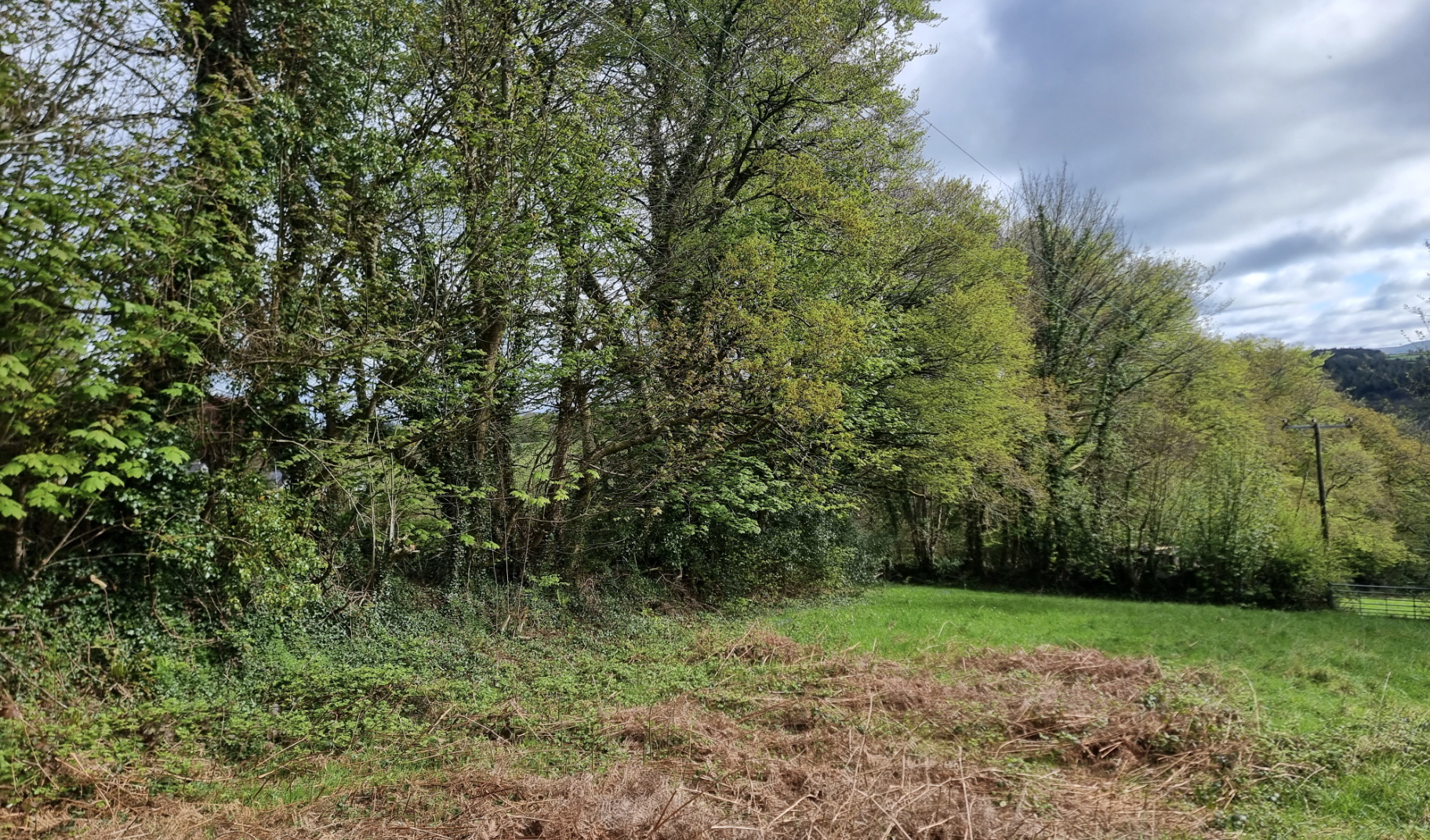 Application to remove a hedgerow on land is refused by council 