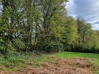 Application to remove a hedgerow on land is refused by council 