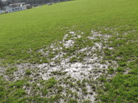 Weekend football fixtures plus postponements