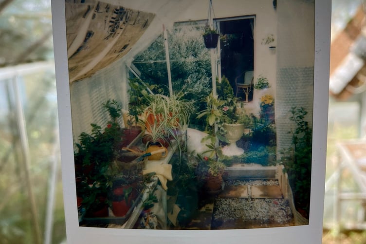 An old Polaroid taken inside the greenhouse by the previous owners