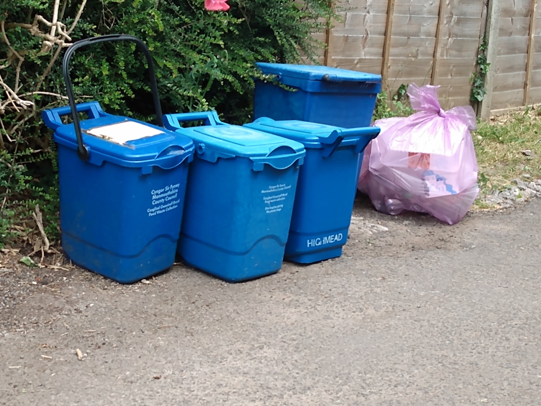 New food waste, recycling and rubbish service launches