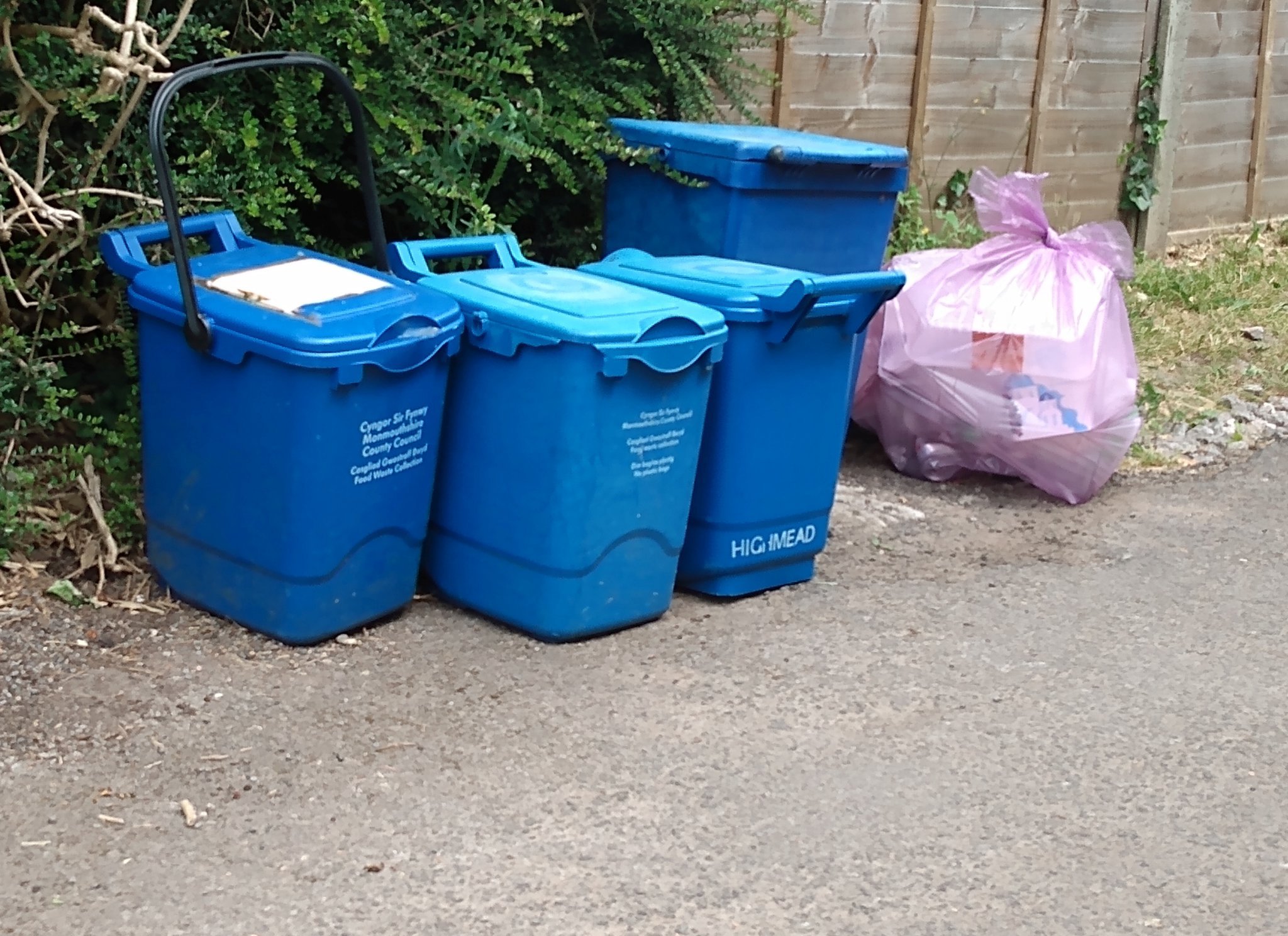 New food waste, recycling and rubbish service launches in South East