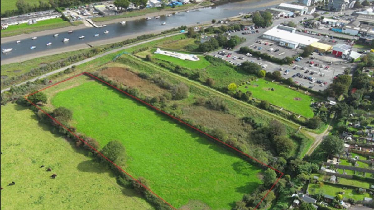 Plan for XL Bully walking area submitted to Council