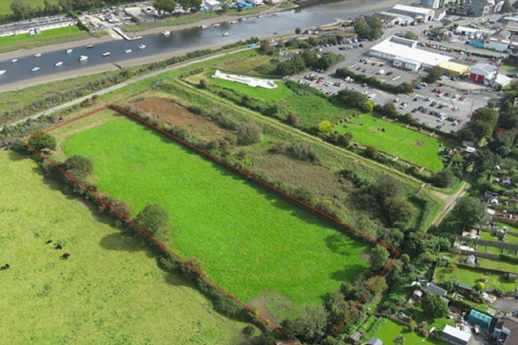 The location of the planned walking paddock