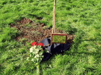 Liskeard trees planted to remember young lives taken too soon 