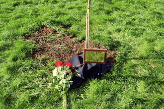 Liskeard memorial trees