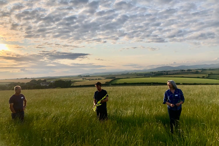 Climate Visions first farm event in the herbal ley fields on Higher Kestle farm, featuring Richard and Tom Lobb and Luci Isaacson