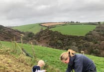 Volunteers plant 44 trees in Downderry as part of countywide initiative 