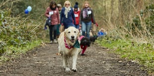 Saltash nature reserve set to host special dog walkers' event