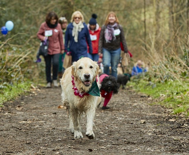 Saltash nature reserve set to host special dog walkers' event