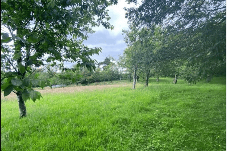 The proposed location of the holiday pods refused by Cornwall Council (Picture: Cornwall Council planning)
