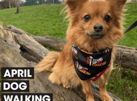 Dog walkers get moving for charity 