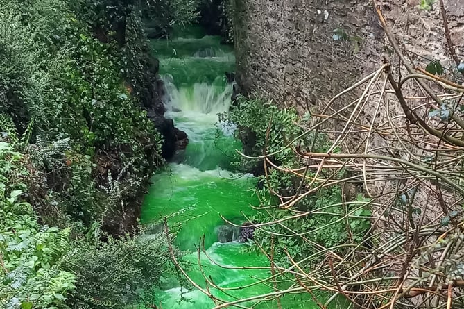 The river in Danescombe Valley was turned bright green 