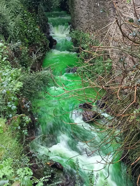 The river in Danescombe Valley was turned bright green 