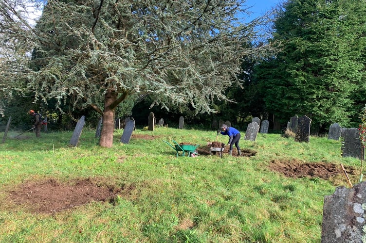 Volunteers have been helping out with a range of environmental initiatives