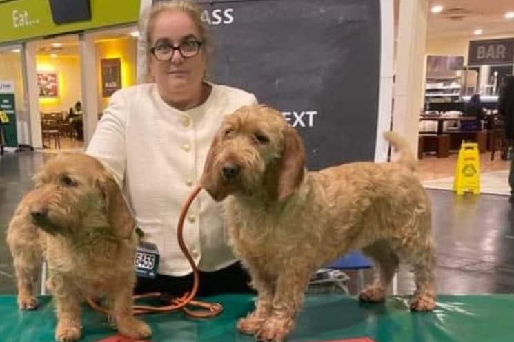 Miss Horn with the two winning pooches