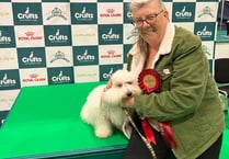 2024 Crufts champions from the local area