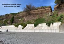 Sea wall planned for vulnerable cliff