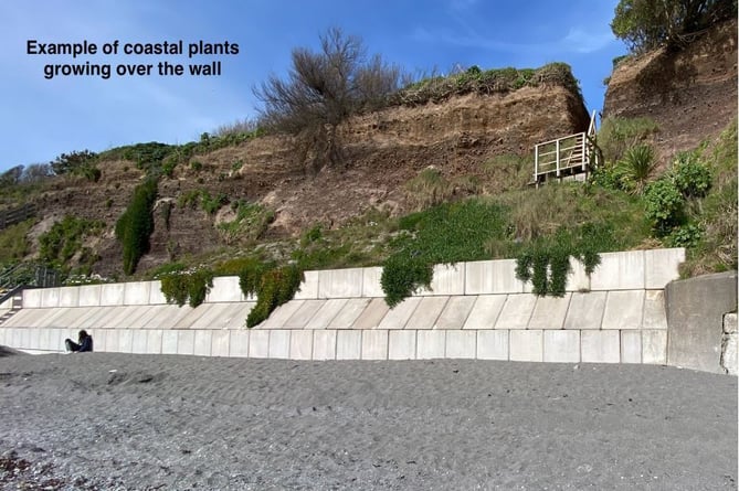 How the new cliff defence wall could look (Picture: Cornwall Council)