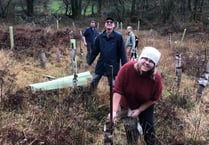 Work party continue woodland restoration 
