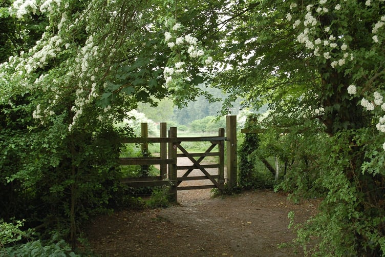 gate
