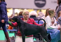Dog owner celebrates a string of wins at Crufts